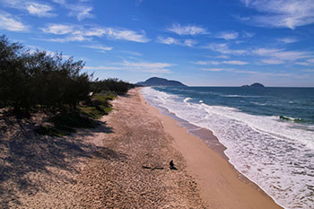 Leste da Ilha de Florianópolis
